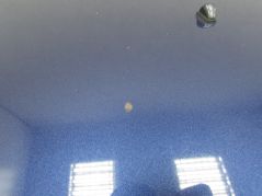 SUZUKI SWIFT MK6 05-10 MASKA POKRYWA SILNIKA ZCH