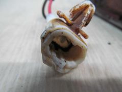 MAZDA DEMIO HALOGEN LEWY TYL 236-33870