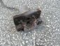 TOYOTA RAV4 III 2.0 VVTI ZACISK HAMULCOWY TYL LEWY 05-12