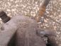TOYOTA RAV4 III 2.0 VVTI ZACISK HAMULCOWY TYL LEWY 05-12